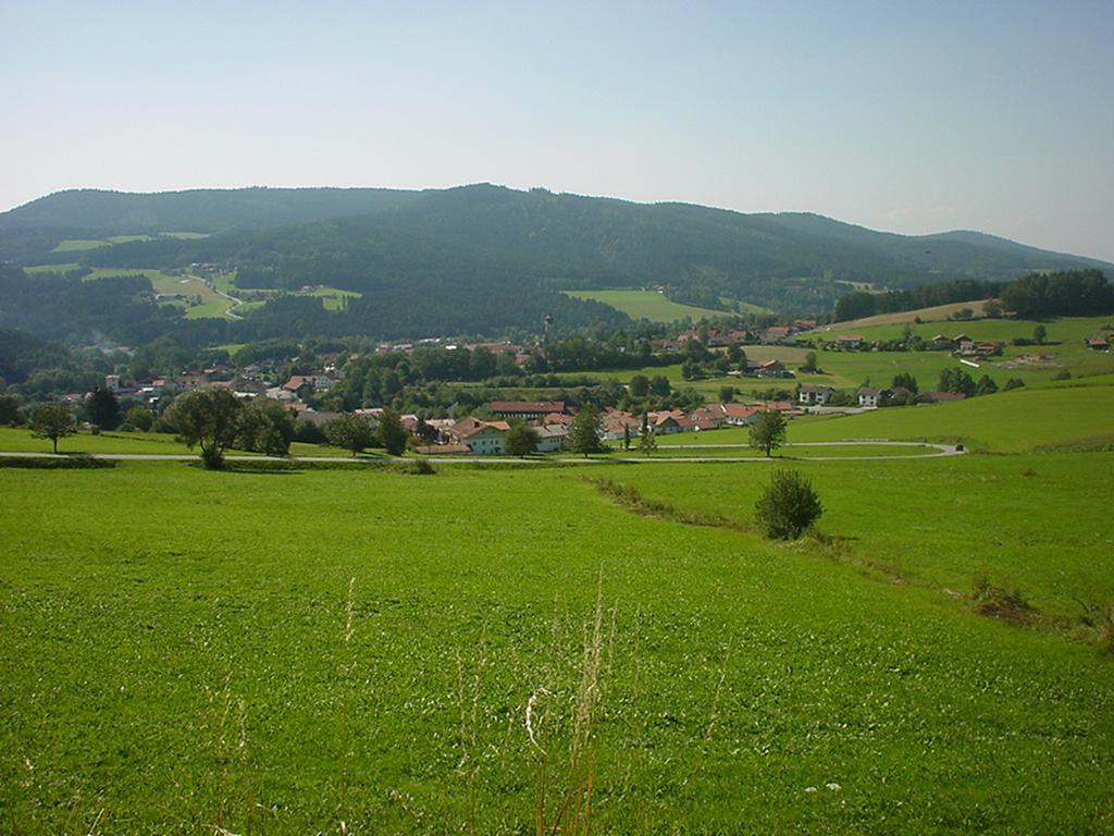 Wellness Ferienwohnungen Zellertalblick Драксельсрид Экстерьер фото